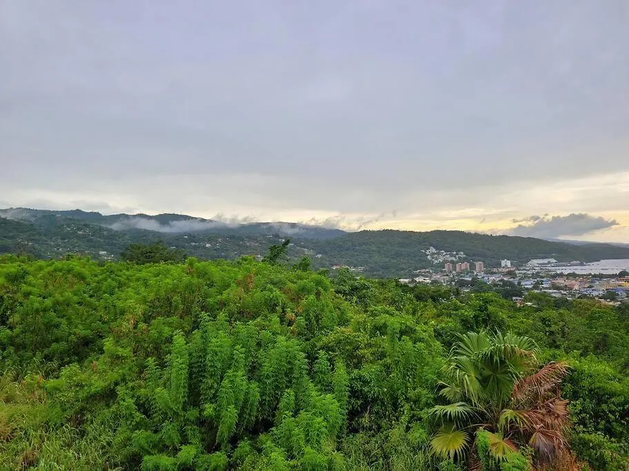 Willa Heavenly View Ocho Rios Dom wakacyjny