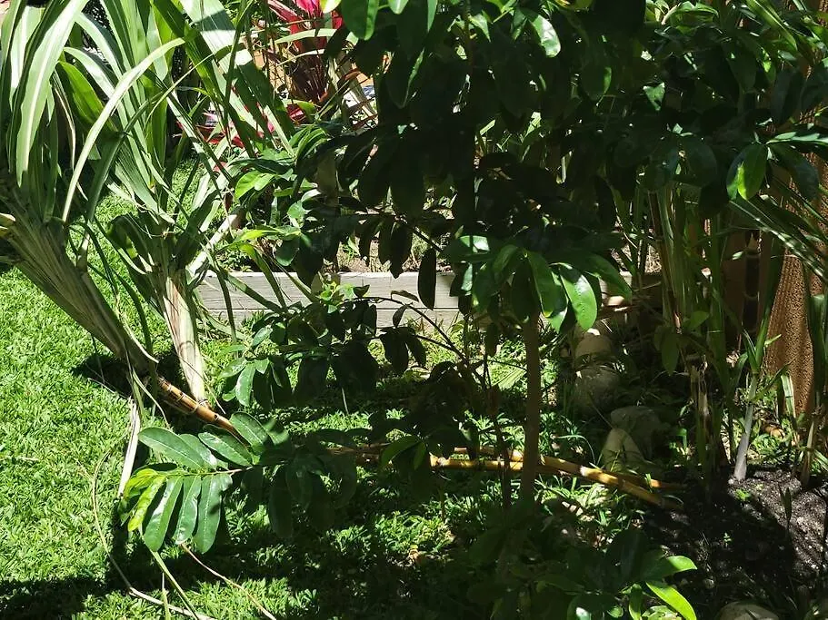 Dom wakacyjny Willa Heavenly View Ocho Rios